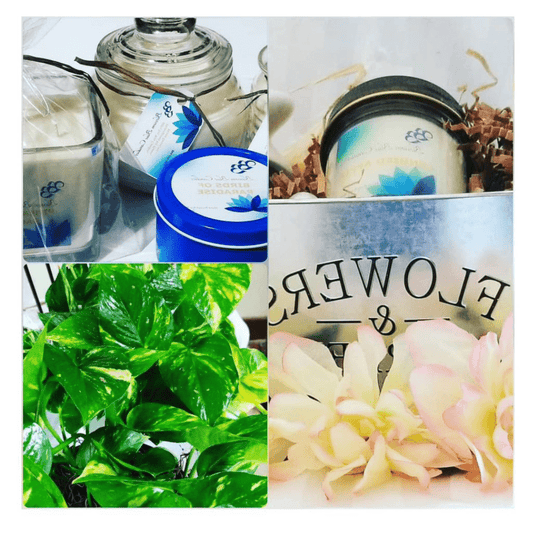 Celebrate Renewal and Compassion: April Meditation - Blossom Blue Candles